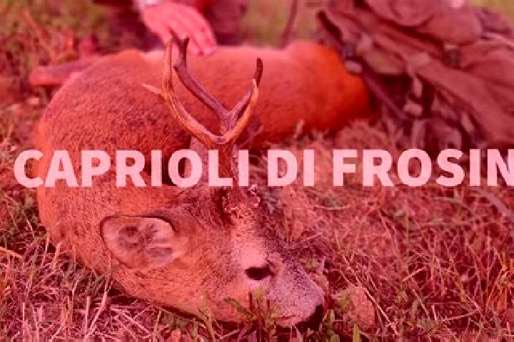 Emma, 37 — Escort in Gerre de Caprioli, Italy