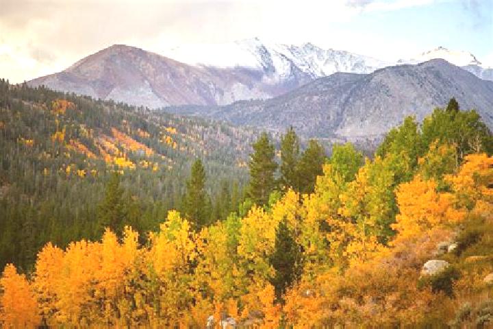 Emma, 37 — Escort in Mammoth Lakes, United States