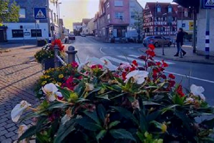 Emma, 38 — Escort in Bad Soden am Taunus, Germany