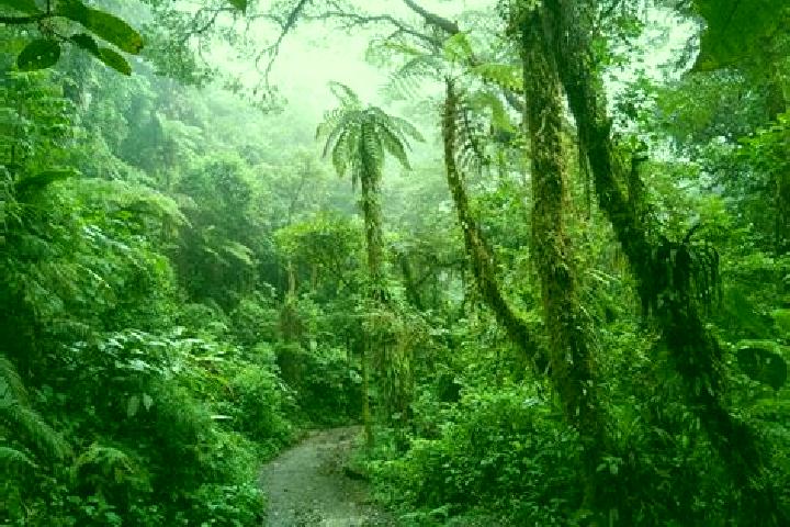 Emma, 39 — Escort in Fern Forest, United States