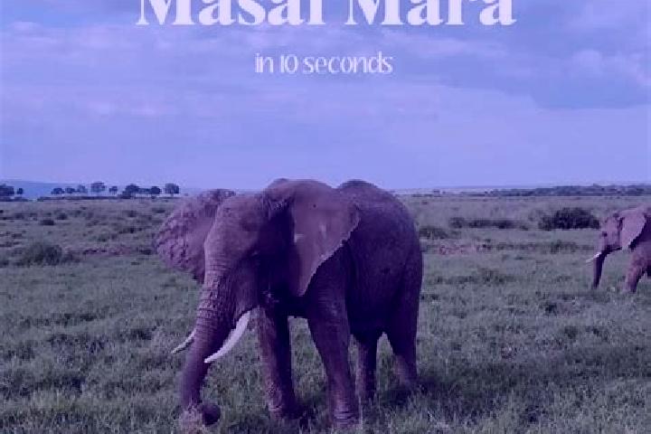 Emma, 39 — Escort in Masai, Malaysia