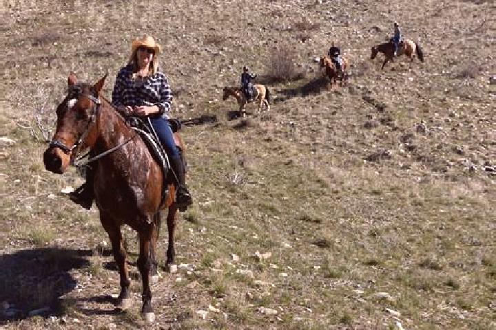 escort 108 Mile Ranch