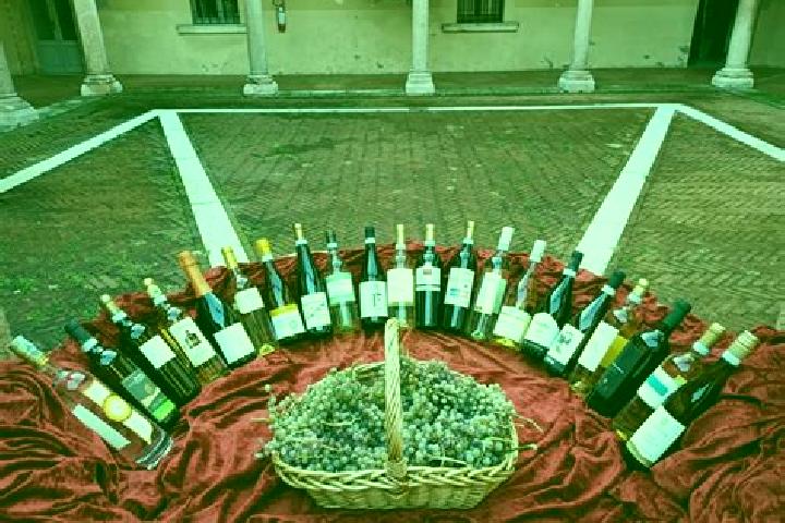 escort Abbazia Pisani