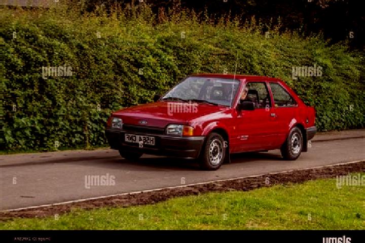 escort Abdi