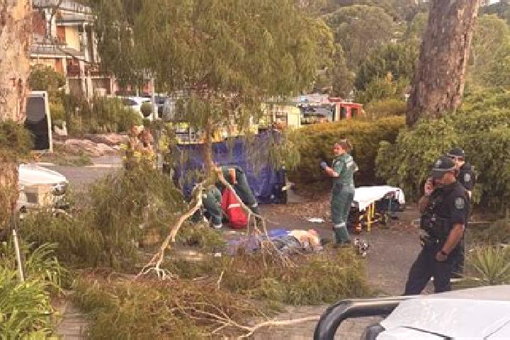 escort Aberfoyle Park