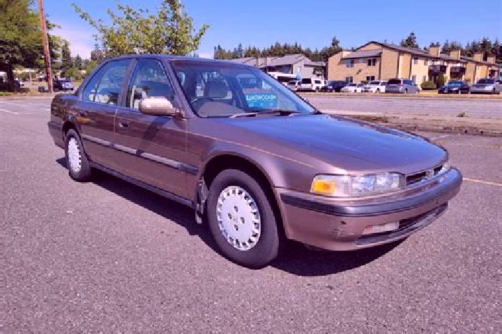 escort Accord
