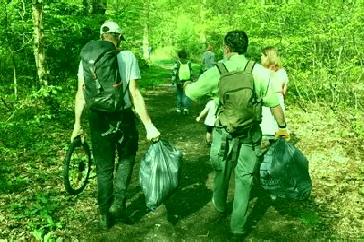 escort Acheres-la-Foret