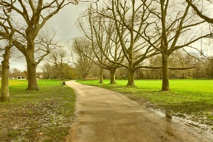 escort Acton Park