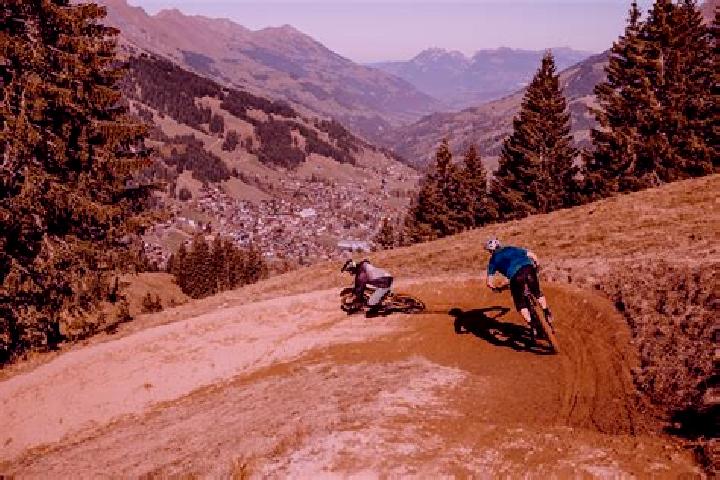 escort Adelboden