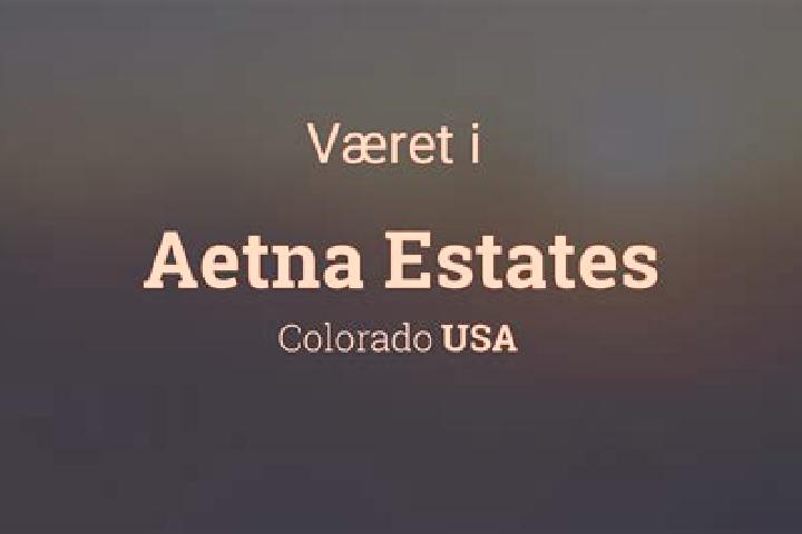 escort Aetna Estates