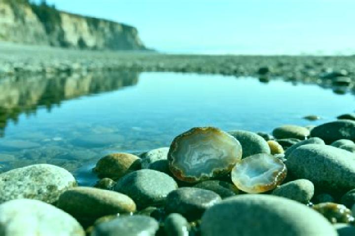 escort Agate Beach