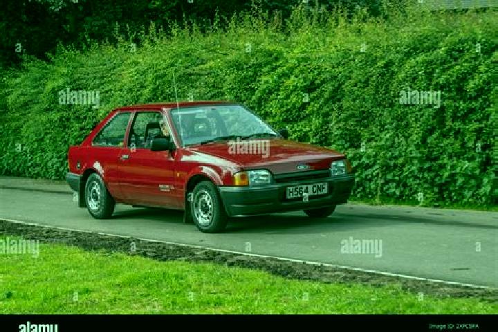 escort Agordo