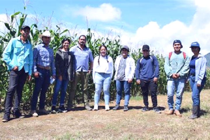 escort Agronomos Mexicanos