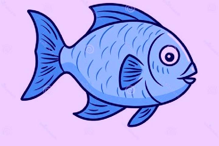 escort Agua de Pescadito