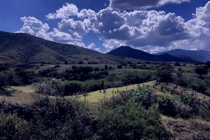 escort Agua del Espino