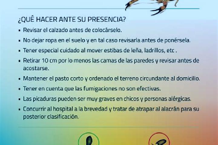 escort Alacranes