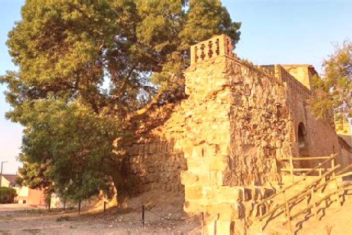 escort Alcala de Ebro