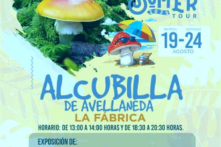 escort Alcubilla de las Penas
