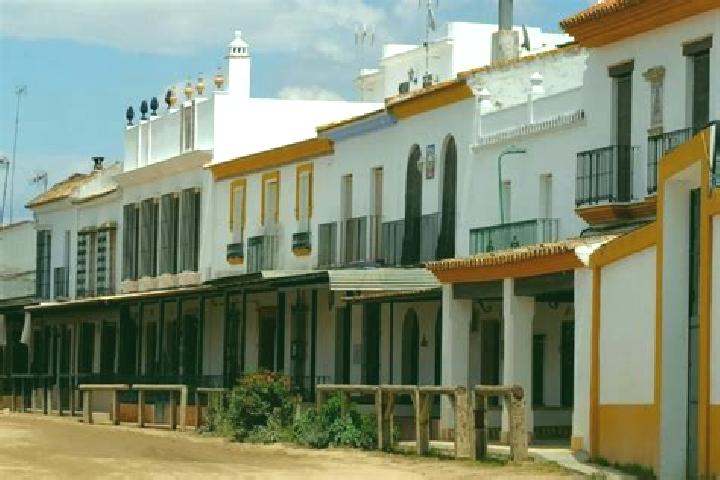 escort Aldea del Rey