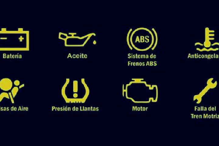 escort Alerta