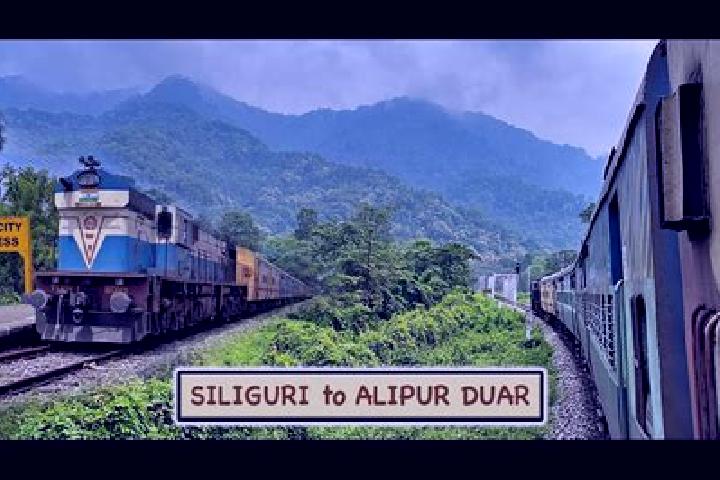 escort Alipur Duar