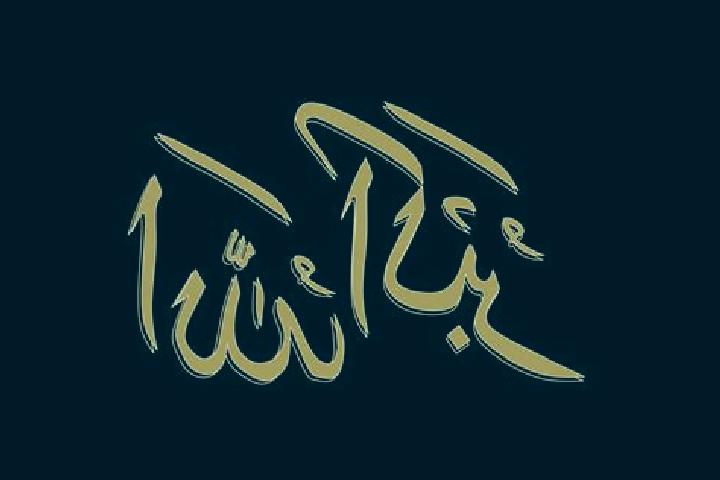 escort Allahou-Bazi