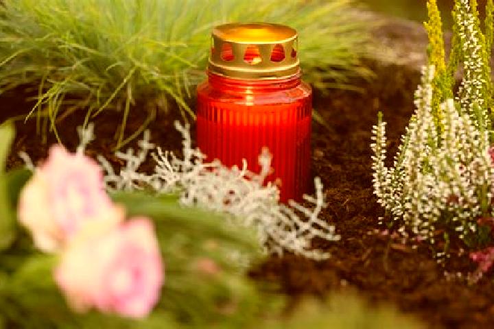 escort Allerheiligen im Muehlkreis