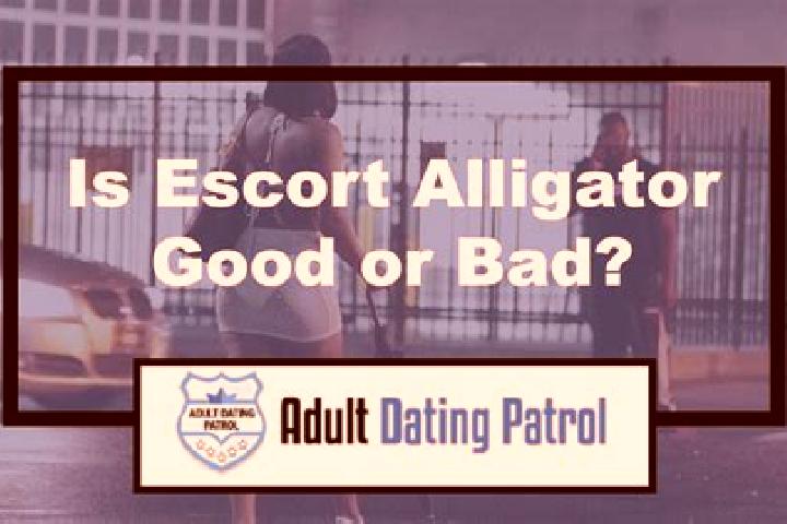 escort Alligator Creek