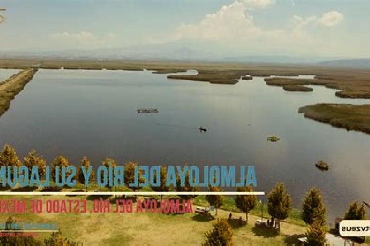 escort Almoloya del Rio