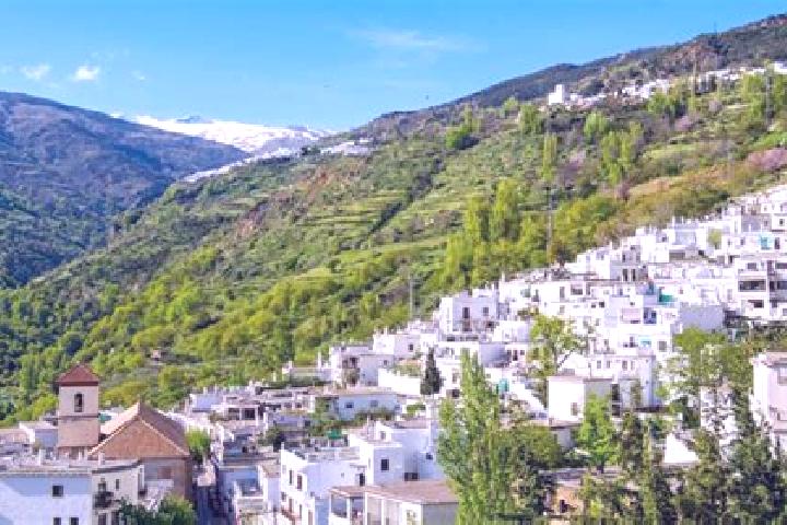 escort Alpujarra