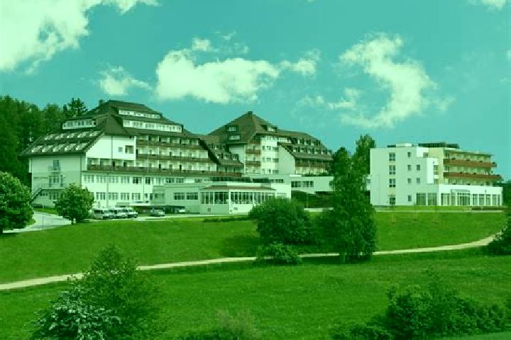 escort Althofen