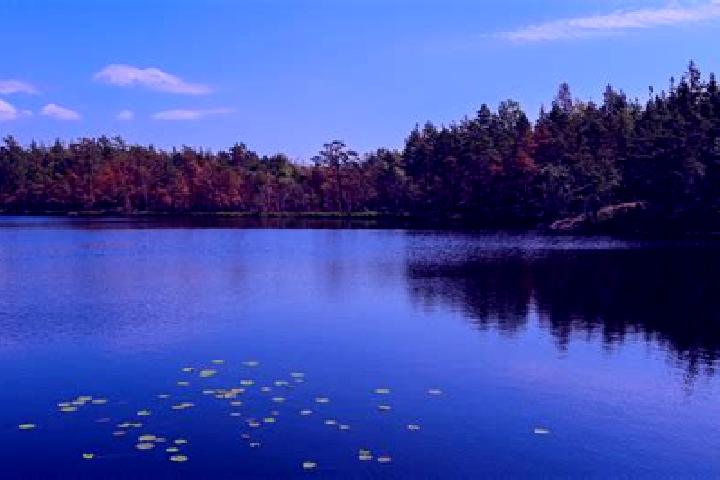 escort Ames Lake