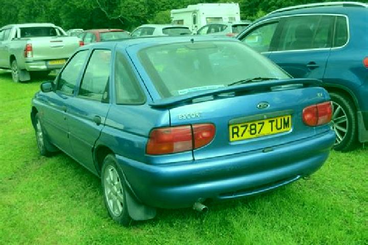 escort Amotfors
