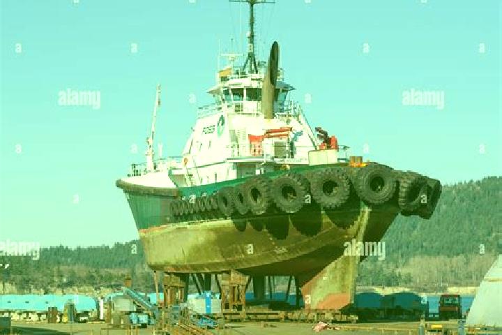 escort Anacortes