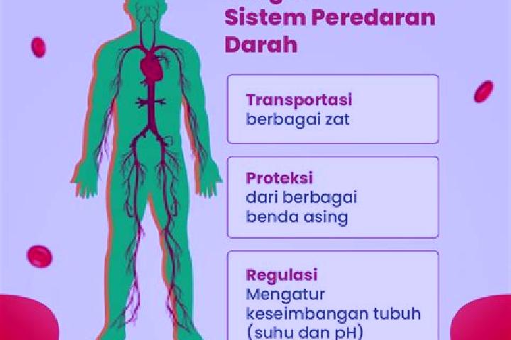 escort Anar Darah