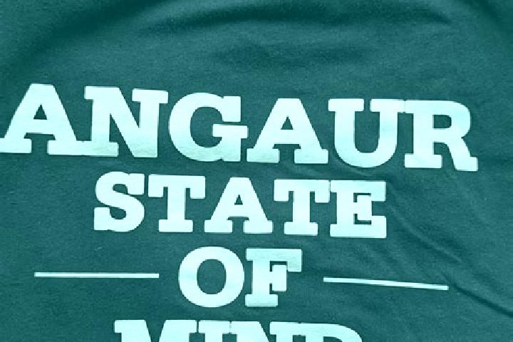 escort Angaur State
