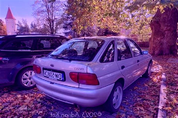 escort Angut