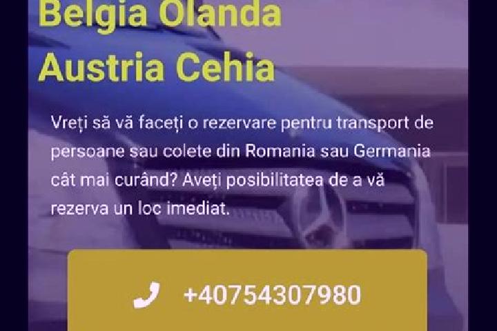 escort Aninisu din Vale
