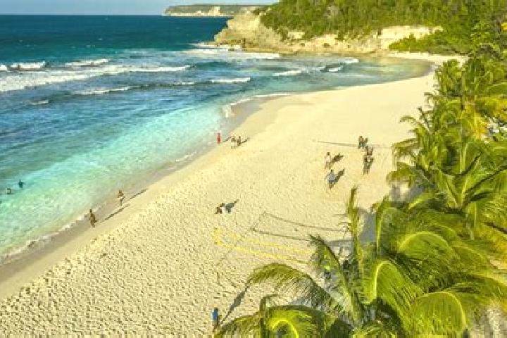 escort Anse-Bertrand
