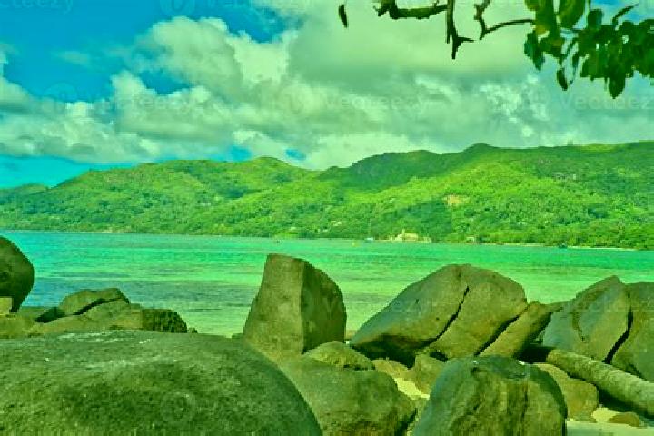 escort Anse Royale