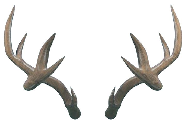 escort Antlers