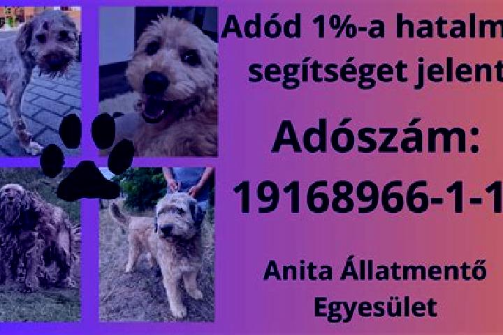 escort Apatfalva
