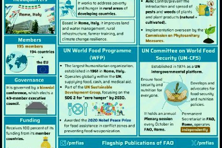 escort Apulia e Fao