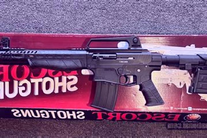 escort Ar Ramadi