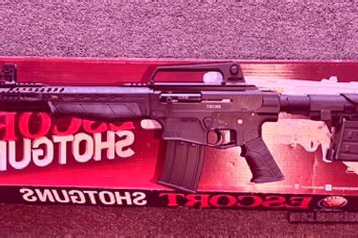 escort Ar Rayyan