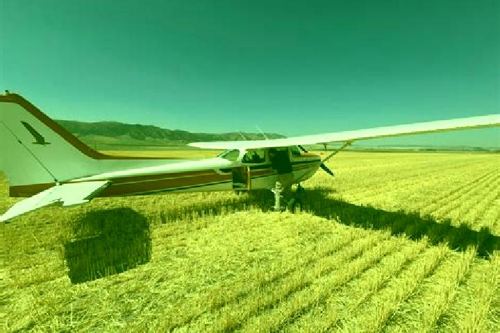 escort Arbon Valley