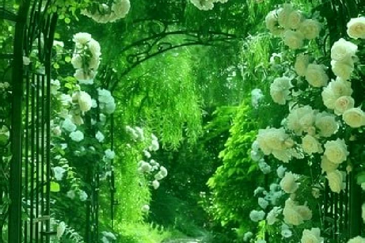escort Archway