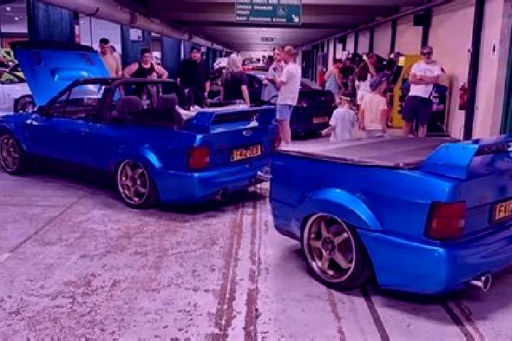 escort Arcola East
