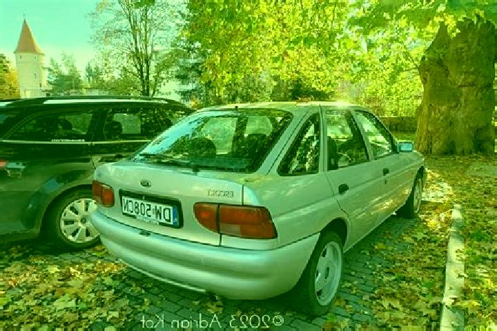 escort Ardin