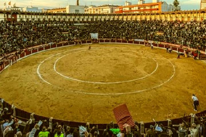 escort Arenas de San Juan